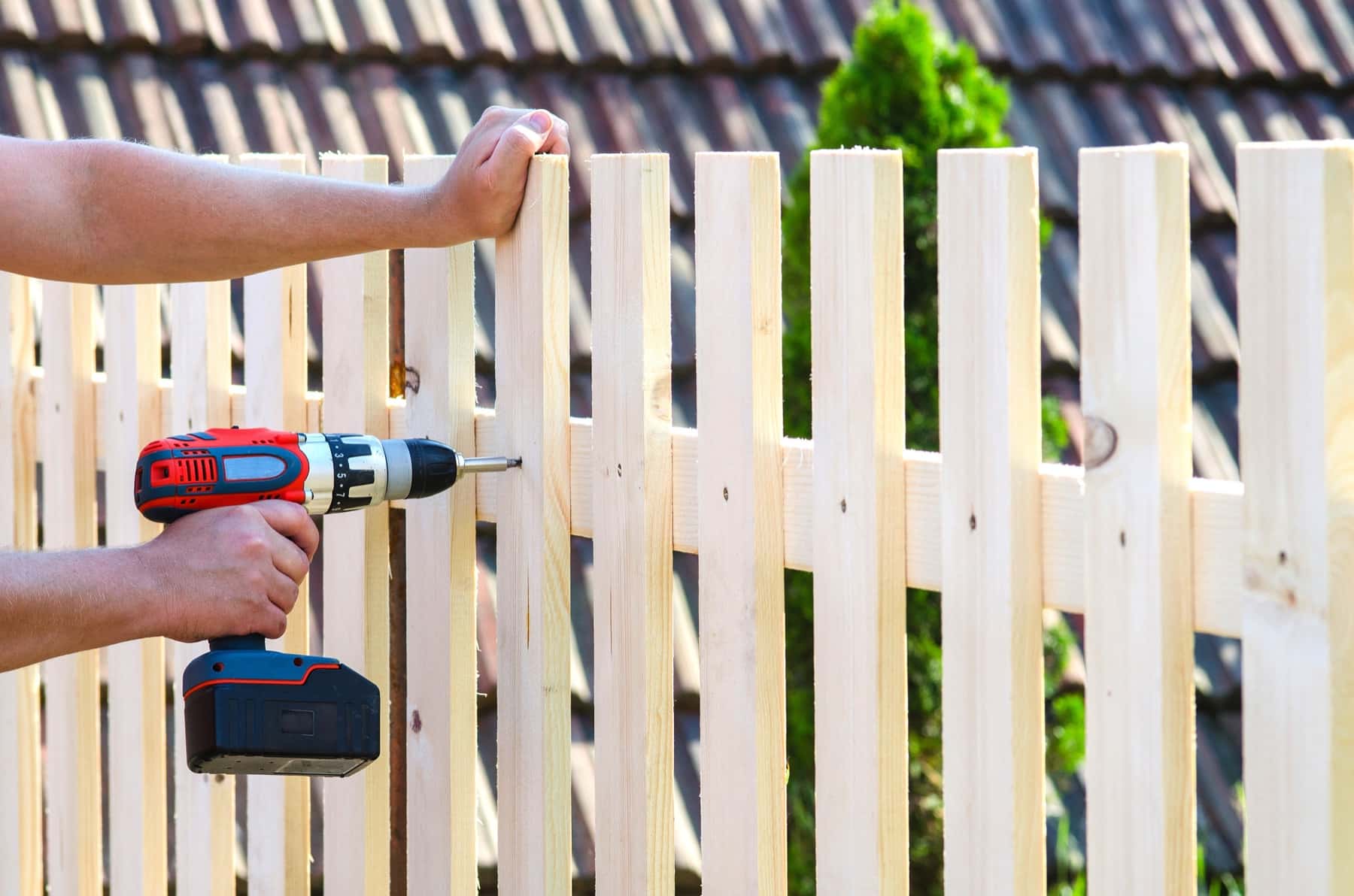 New fencing installed along a residential boundary