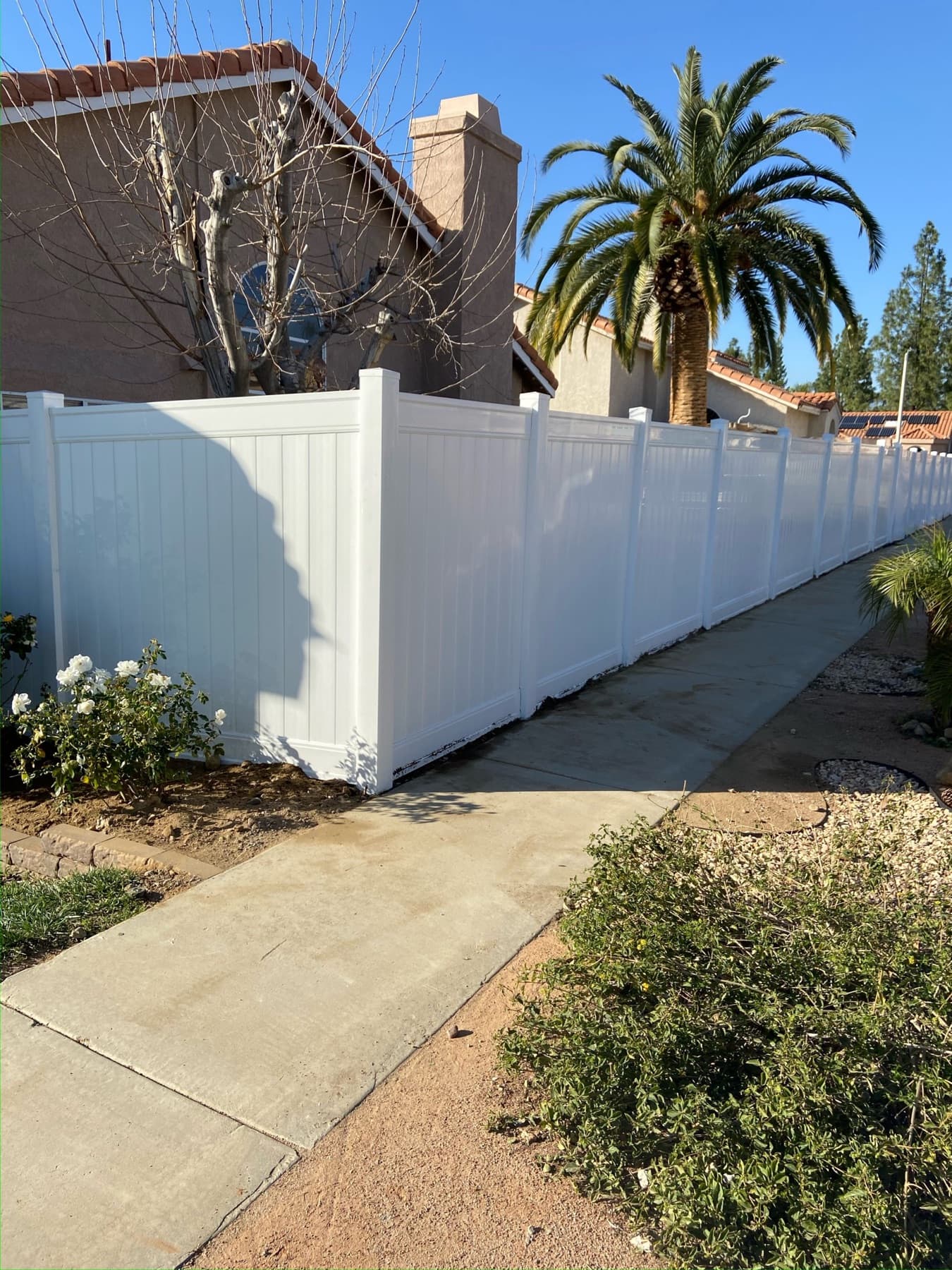 White vinyl privacy fence running along a side yard path